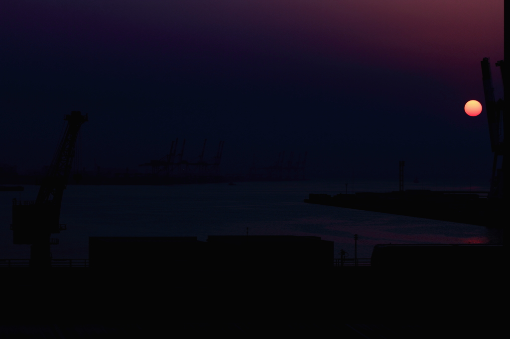 from the harbor