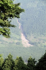 傷跡