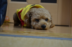 「暇だなー」