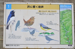 看板