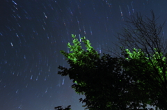 星の雨