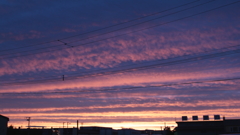 夕焼ストライプ