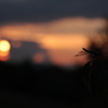 夕闇の秋