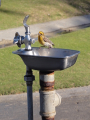DSC00891