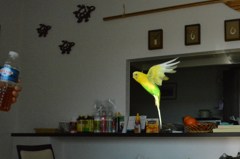 みず～！