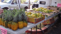 DSC00845