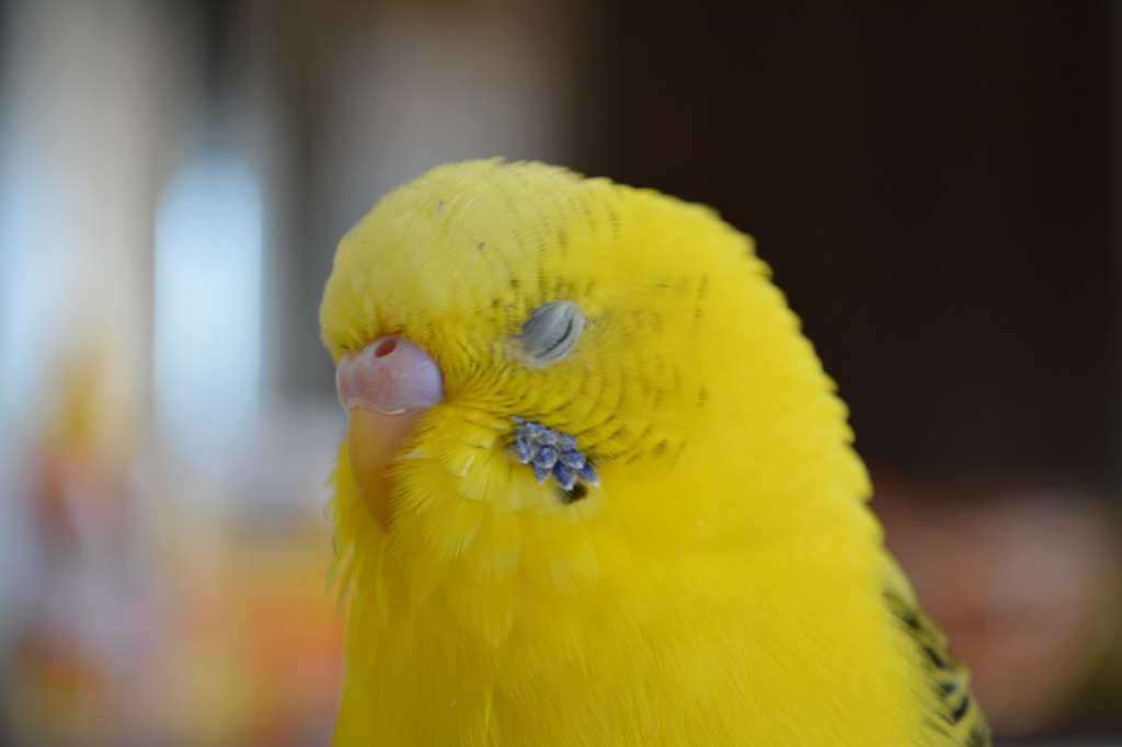 大ちゃん瞑想中