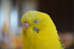 大ちゃん瞑想中