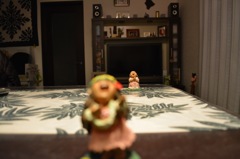 IMG_0888