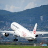 旅立ち
