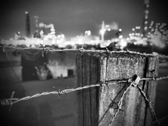 Barbed wire