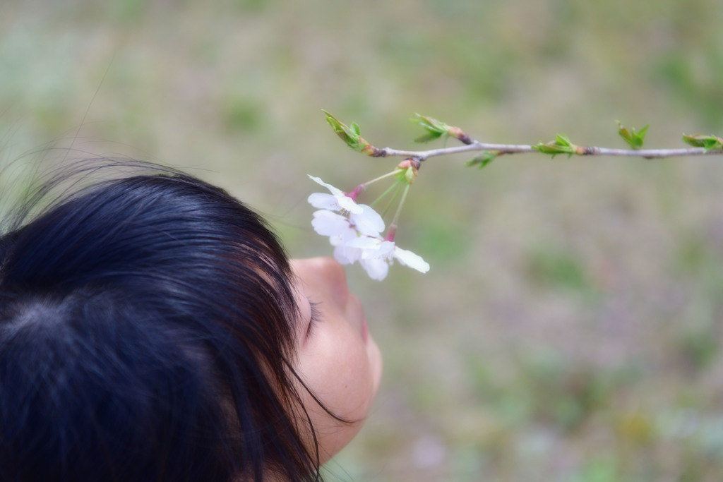 春の薫り