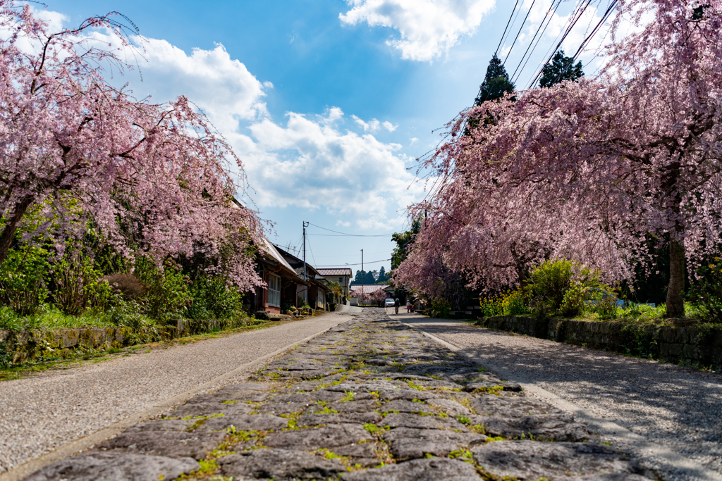 今市石畳道