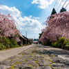 今市石畳道