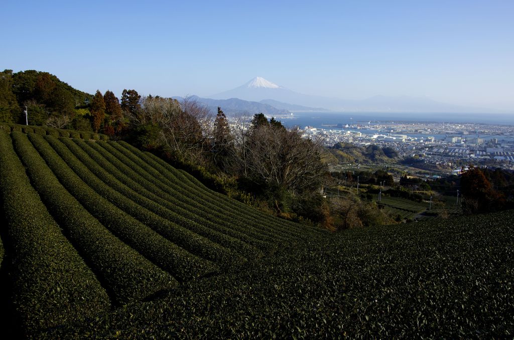 天晴静岡