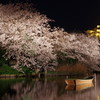 三渓園の夜桜