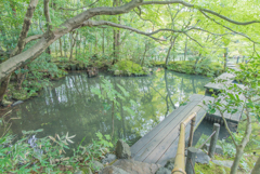 南禅寺 天授庵