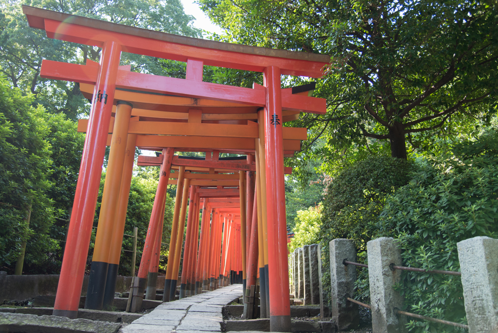 根津神社千本鳥居