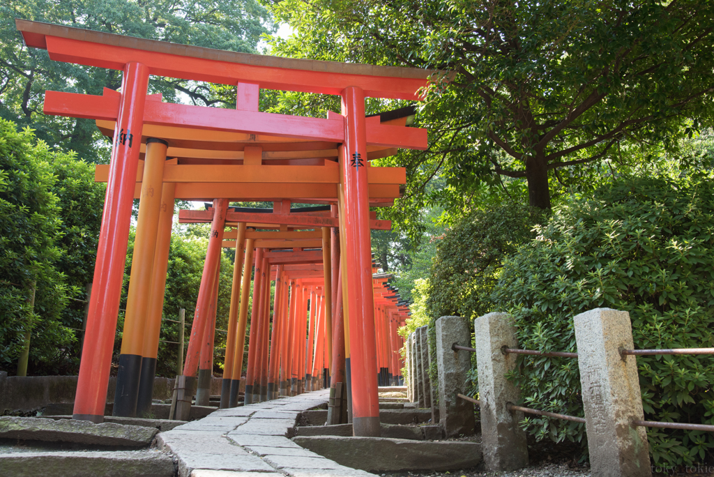 根津神社千本鳥居