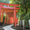 根津神社千本鳥居