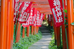 鳥居のトンネル