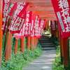 鳥居のトンネル