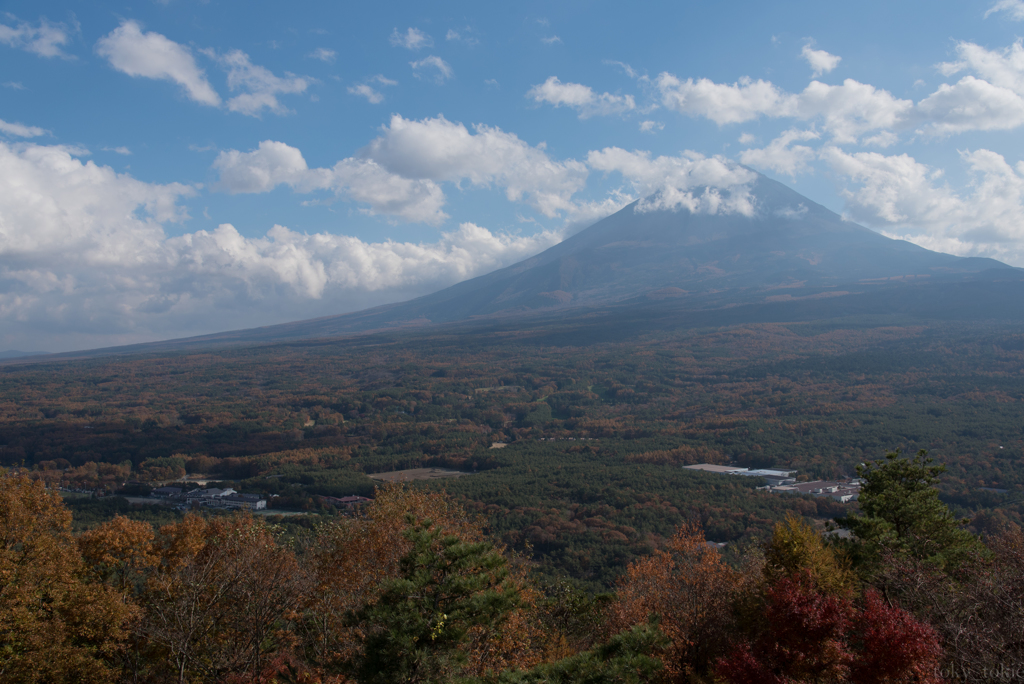 富士の裾野