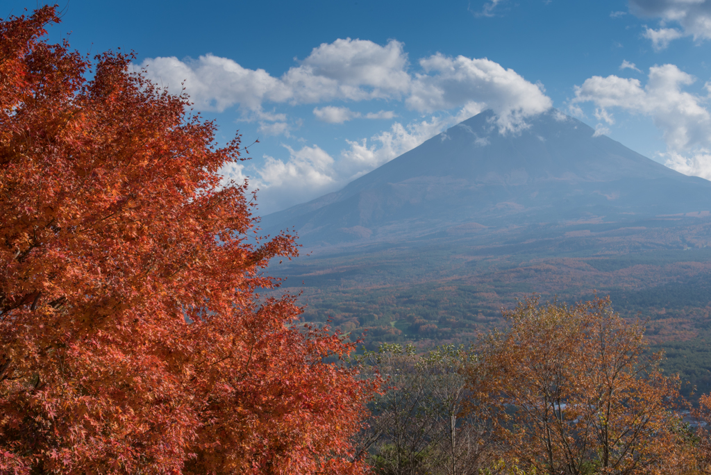 富士と紅葉