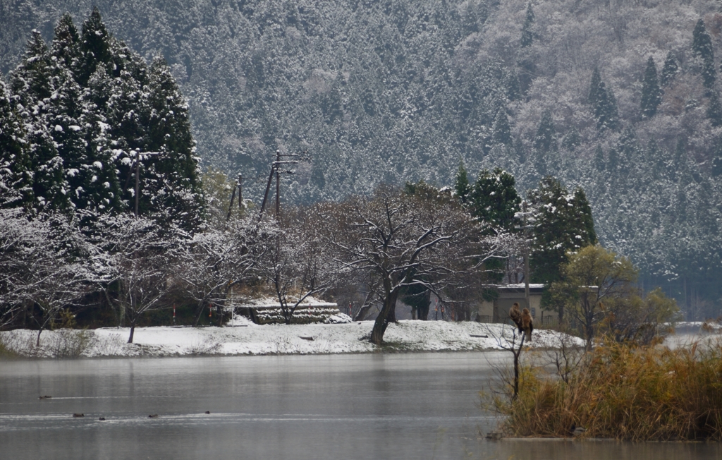 湖北の冬