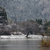 湖北の冬