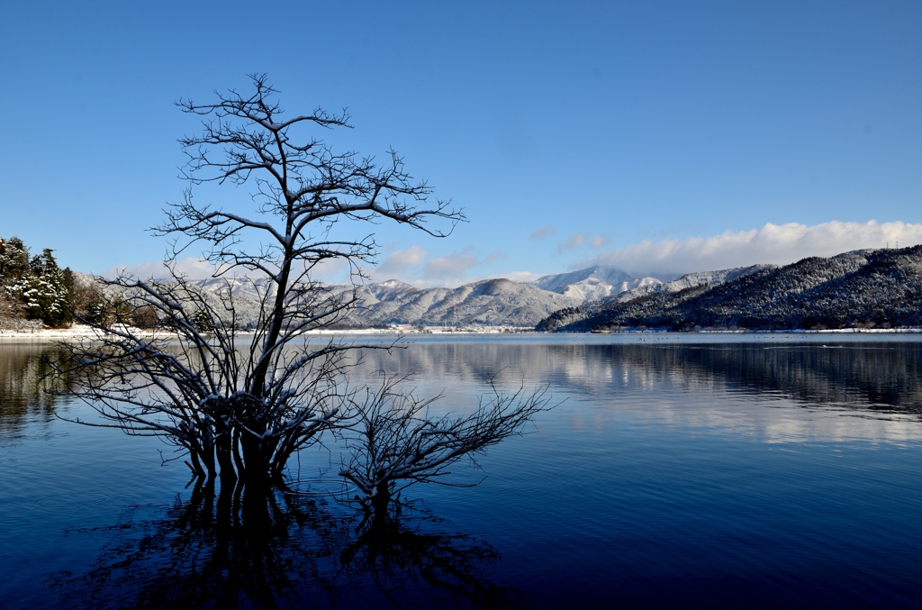 winter blue