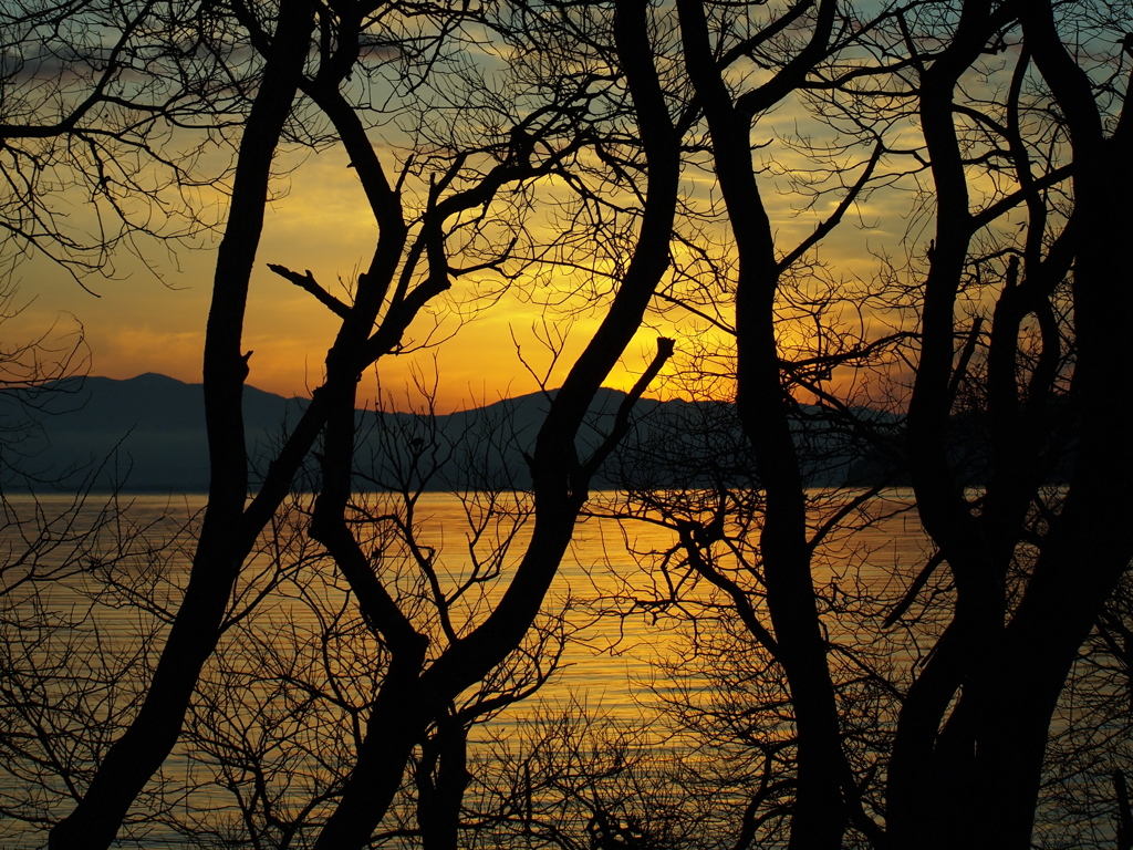 夕景