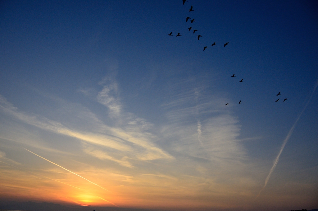 茜空