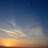 茜空