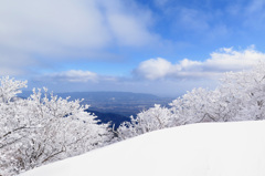雪上散策