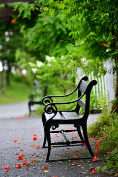 雨後の公園