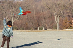 IMG_4903