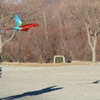 IMG_4903