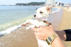 なんだここ・・・・