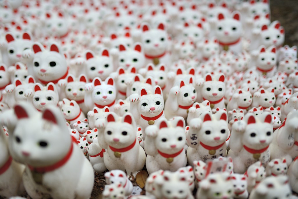 招き猫々