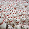 招き猫々