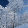 野沢温泉スキー場
