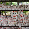 招き猫たち
