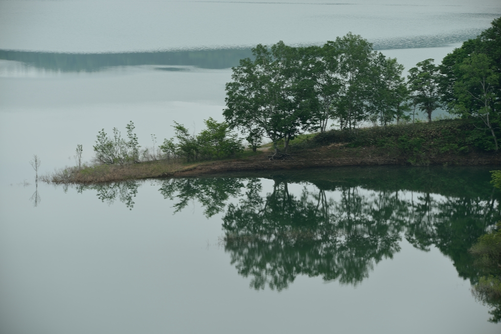 早朝の湖面に映える