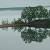 早朝の湖面に映える