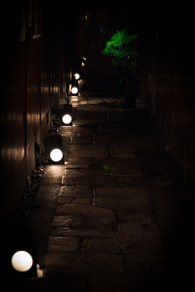 京都　先斗町にて