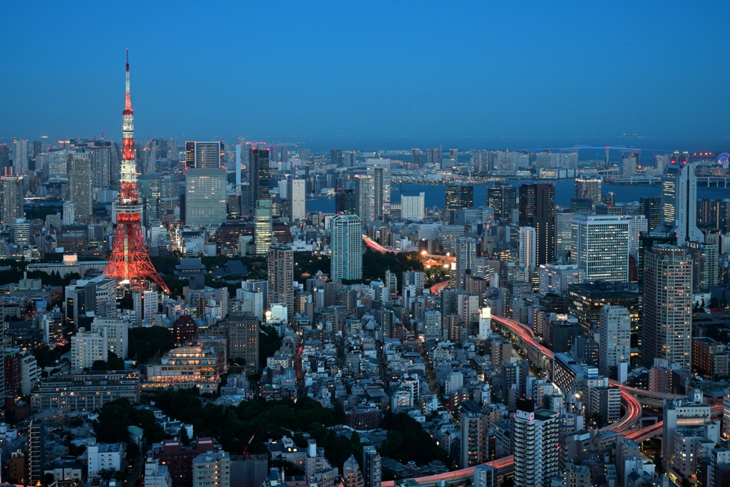 TOKYO NIGHT VIEWS - 28