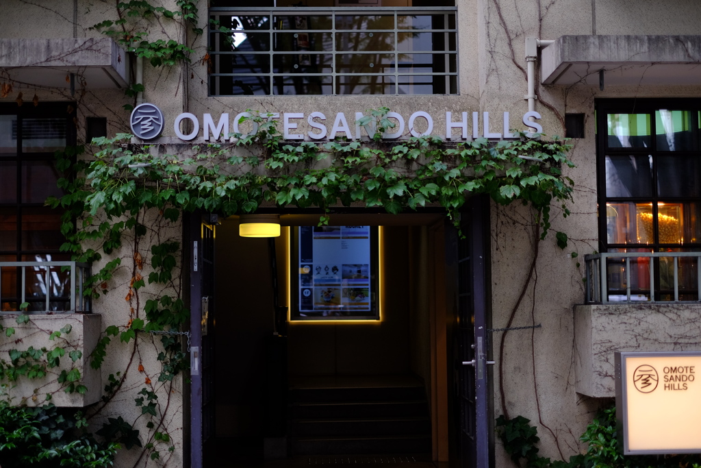 OMOTESANDO HILLS-2