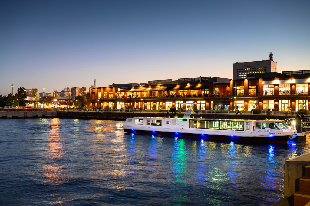 YOKOHAMA NIGHT VIEWS