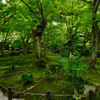  京都 瑞巌山 圓光寺-4